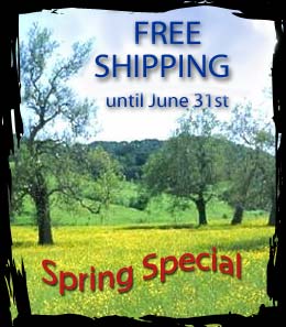 Spring Special - FREE shipping!